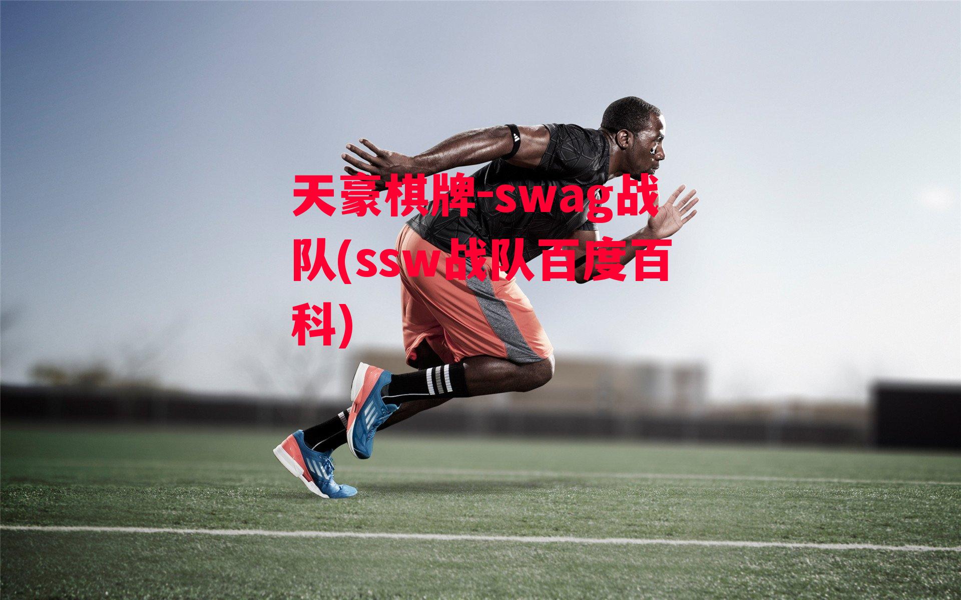 swag战队(ssw战队百度百科)